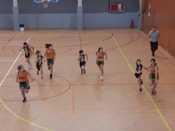 CB Calella - Mini Femení